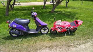 49Cc Pocket Bike Vs Honda Elite 50Cc Moped Mini-Motorcycle Vs Scooter How Fast Do They Go?