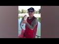Try Not To Laugh Watching Animals Compilation funny animals it's agressive wtffffff