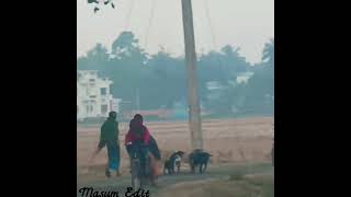 Masum Edit 07