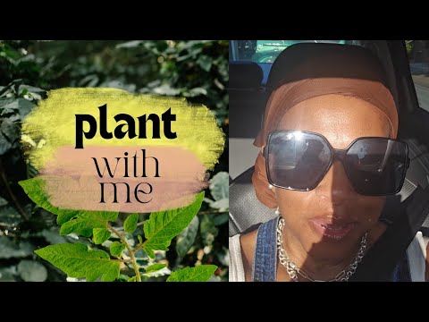 FALL GARDEN: Market Seedlings Purchase #garden #gardening #food #atlanta FALL GARDEN: Market Seedlings Purchase #garden #gardening #food #atlanta