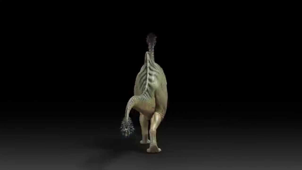 Deinocheirus posterior view
