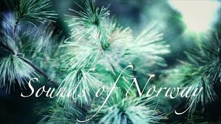 Asmr Crystal Clear Water Stream Sounds For Relaxation Nature From Stavanger Norway Asmr Crystal Clear Water Stream Sounds For Relaxation Nature From Stavanger Norway