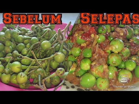 How to Make Kerabu Terung Pipit Sambal Belacan Shrimp Paste