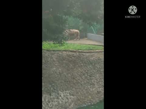 ke berhasilan di tentukan dari seberapa tepatnya membaca peluang.