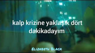 Halseywalls Could Talktürkçe Çeviri