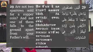 25th of Paona - Vespers 07-01-2022