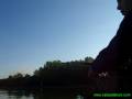 Vidéo sur la pêche du silure en bateau, avec echosondeur et teaser en sâone. J'ai utilisé pour réaliser cette vidéo 2 appareils 