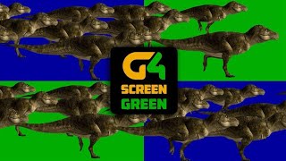 Stampede Green Screen Dinosaur Running Green Screen T-Rex Dinosaur Animal