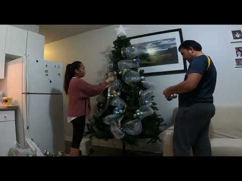 Setting up our Christmas Tree