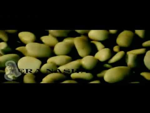 The Bilz Kashif - Tera Nasha Official Video Remix | HQ