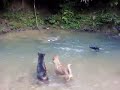 Berburu Babi Hutan images Berburu Babi Hutan