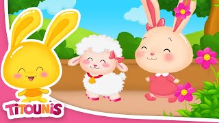 Mouton et Agneau | Comptines pour enfants