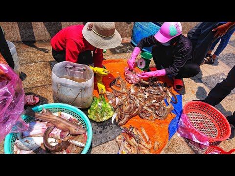 Ăn chơi Vũng Tàu : Chợ hải sản tươi gần dốc lên Ngọn Hải Đăng Vũng Tàu