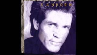 Watch David Sanborn Nobody Does It Better video