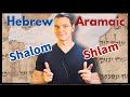 How Similar Are Biblical Hebrew and Biblical Aramaic?