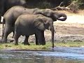elephant valley lodge botswana