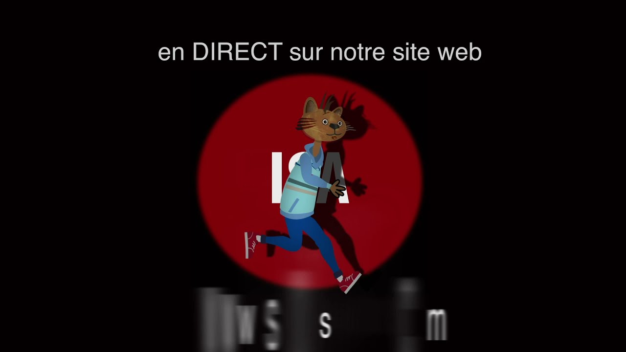 Découvrez nos options ! Suivez le parcours du Chat de l'ISA !