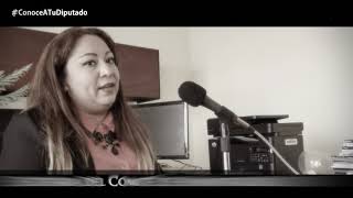 Diputada Alejandra Valdés Martínez