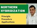 Northern hybridization or RNA blotting | Principle, procedure & application of northern blotting
