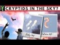 Cryptozoology. What are Sky Beasts?