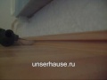 Видео Монтаж полового плинтуса своими руками.wmv