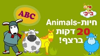 לימוד אנגלית לילדים ופעוטות - חיות עם נוני