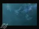 Push Play Video preview