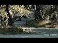 The Sounds Of 2011! Exotic Cars Revving, Accelerating, Burning Rubber!! - 1080p HD