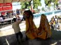 image Singgo Barong Keong Mas Kendal