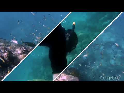 moo koh surin หมู่เกาะสุรินทร์