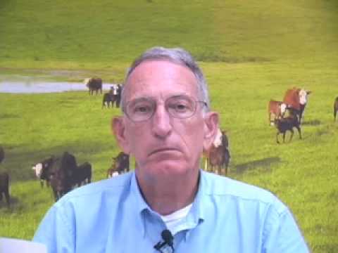 Grass tetany is a metabolic disease in beef cattle that is caused by a 