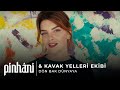 Kavak Yelleri Ekibi & Pinhani - Dön Bak Dünyaya (official video)