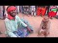 सलमान खान बना बन्दर नाच बंदरिया नाच bandar bandariya ka khel funniest monkey drama