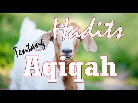 Hadits Tentang Aqiqah | Indonesia Empire