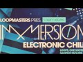 Electronica & Chillout samples & loops - Immersion Electronic Chill Electronica & Chillout samples & loops - Immersion Electronic Chill