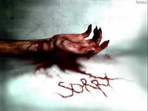 Reza Sadeghi.wmv