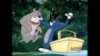 Tom And Jerry, 72 Episode-Pup On A Picnic 1941