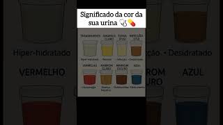 Significado Da Cor Da Sua Urina