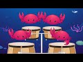 shrimps