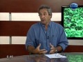 Entrevista al Ing Andrés Halle. Coyuntura Ganadera Febrero 2016 Entrevista al Ing Andrés Halle. Coyuntura Ganadera Febrero 2016
