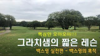 짧은 레슨 26. 백스윙 실전편