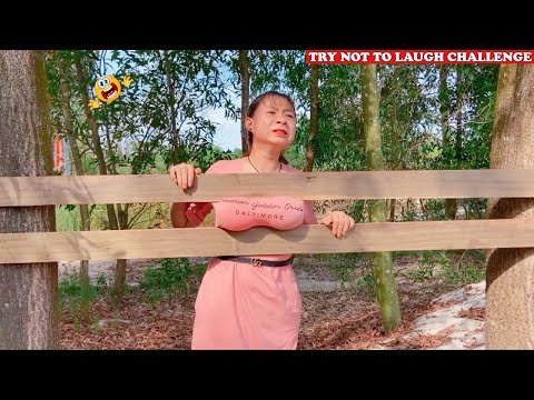 Best Funny Videos 2020 🤣 😂 Try Not To Laugh Challenge - Cười Vỡ Bụng | Episode 134