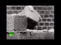 La construcción del Muro de Berlín