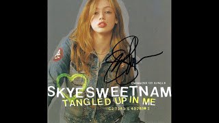 Watch Skye Sweetnam Too Late video