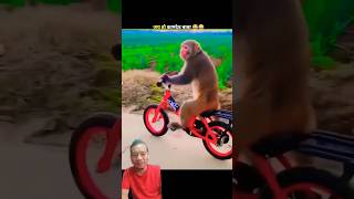 Bache Ki Cycle Bandar Ne Churaly Mamo07