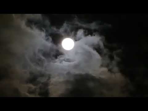 أبحث عن نفسي بين هدوء الليل ونسيمه... أبحث عن تلك الروح التي تاهت بين صخب الحياة وضغوط الأيام. ،🖤 أبحث عن نفسي بين هدوء الليل ونسيمه... أبحث عن تلك الروح التي تاهت بين صخب الحياة وضغوط الأيام. ،🖤