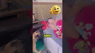 K9 Köpek Kadını Kurtardı