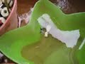 Tadpoles and Baby Frogs in a Small Bowl