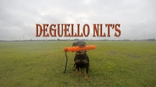 Deguello Nlts Anna Learning The Double-T