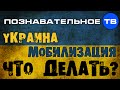 Украина. Мобилизация. Что делать? (Познавательное ТВ, Николай Стариков)